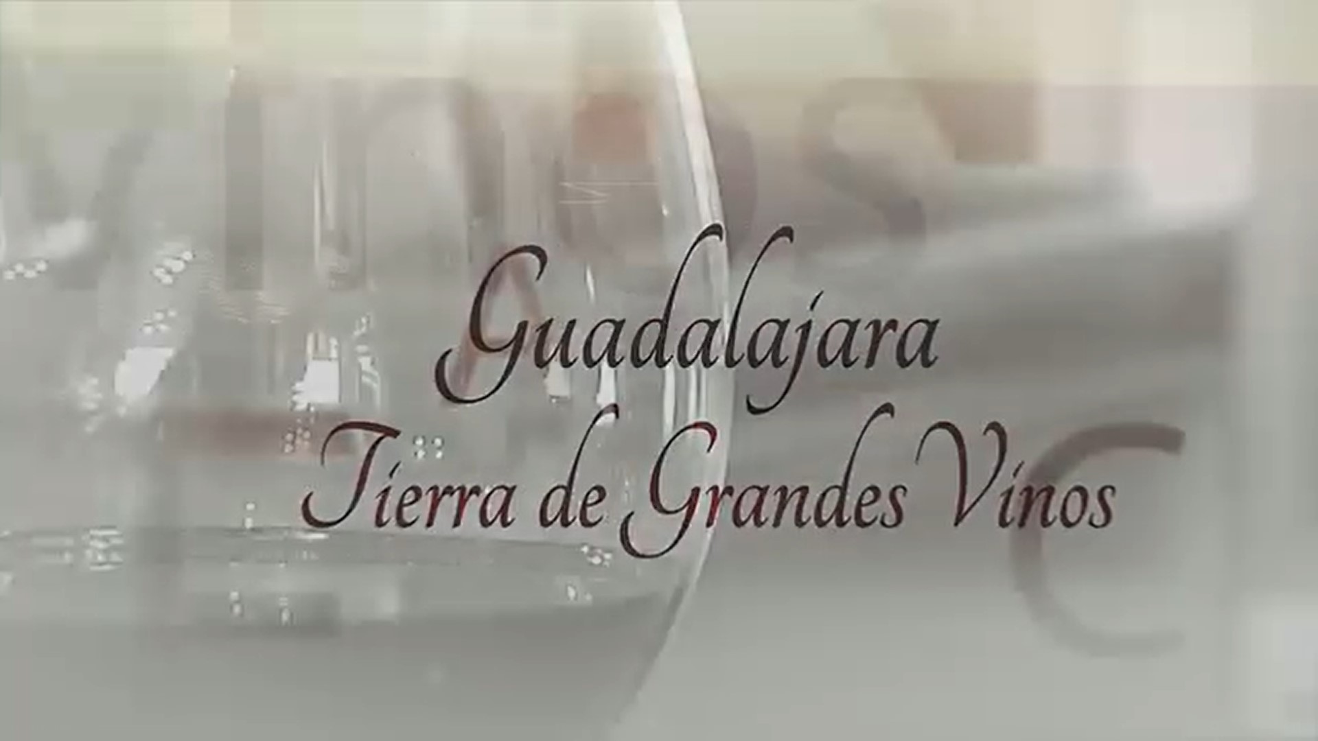 Guadalajara, tierra de Grandes Vinos
